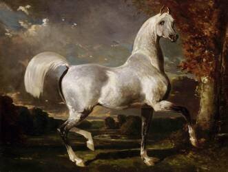 Etalon Arabe (Alfred Dedreux) - Muzeo.com