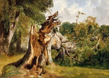 Etude de tronc d'arbre (Alexandre Calame) - Muzeo.com