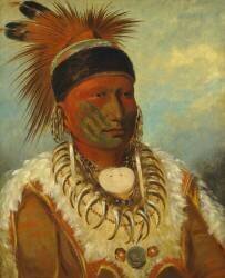Le nuage blanc (George Catlin) - Muzeo.com