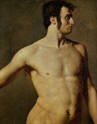 Male Torso (Jean-Auguste-Dominique Ingres) - Muzeo.com