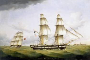 Niger of Sunderland (B. H. Hansen) - Muzeo.com