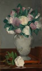 Peonies (Edouard Manet) - Muzeo.com