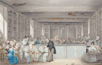 Pierre-Joseph Redouté's School of Botanical Drawing in the Salle Buffon in the Jardin des Plantes (Julie Ribault) - Muzeo.com