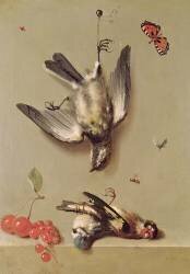 Still Life of Dead Birds and Cherries (Jean-Baptiste Oudry) - Muzeo.com