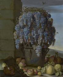 Still Life with Grapes (Luca Forte) - Muzeo.com