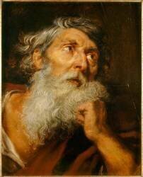 Tête d'homme barbu (Antoon van Dyck) - Muzeo.com