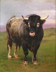 The Black Bull (Rosa Bonheur) - Muzeo.com