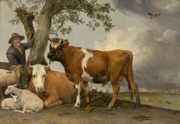 The Bull (Paulus Potter) - Muzeo.com