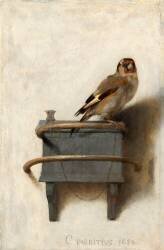 The Goldfinch (Carel Fabritius) - Muzeo.com
