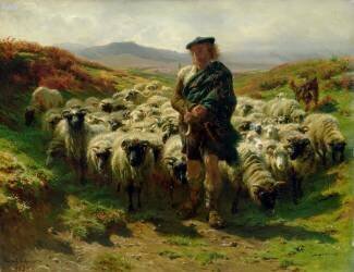The Highland Shepherd (Rosa Bonheur) - Muzeo.com