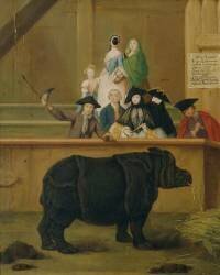 The Rhinoceros (Pietro Longhi) - Muzeo.com