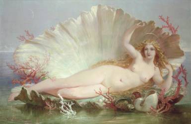 Venus (Henry Courtney Selous) - Muzeo.com