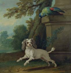 Zaza (Jean-Baptiste Oudry) - Muzeo.com