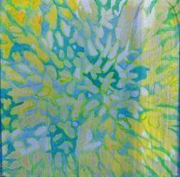 Acrapora (Charlotte Johnstone) - Muzeo.com