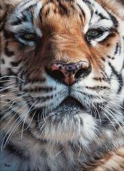 Ancrage (Christophe Drochon) - Muzeo.com