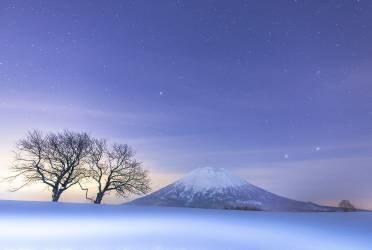 Blue fantasy (Mitsuhiko Kamada) - Muzeo.com