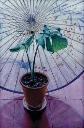 Chinese Umbrella (Simon Cook) - Muzeo.com