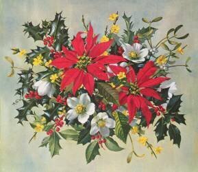Christmas Flowers (Albert Williams) - Muzeo.com