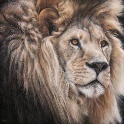 Galaad II (Christophe Drochon) - Muzeo.com