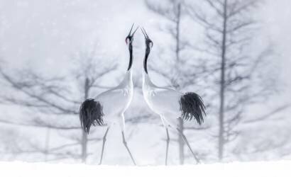 In love (Larry Deng) - Muzeo.com