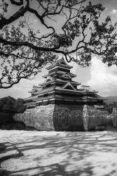 Matsumoto Castle (Jonathan Lai) - Muzeo.com
