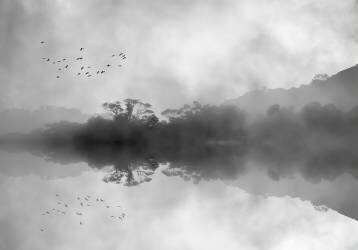 Misty Reflections (Jacqueline Hammer) - Muzeo.com