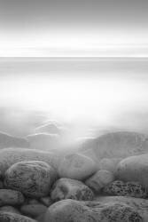 Moog Island (Paulo Abrantes ) - Muzeo.com