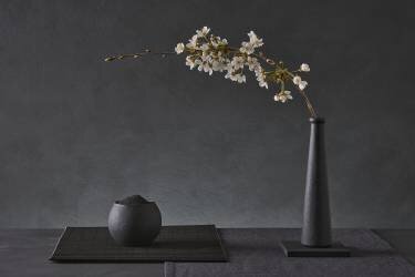 Prunus Avium (Christophe Verot) - Muzeo.com