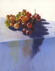 Raisin italien (Pascal Langevin) - Muzeo.com