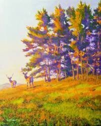 Startled (William Ireland) - Muzeo.com