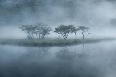 Toki-no-kiokui (Shota Nagase) - Muzeo.com