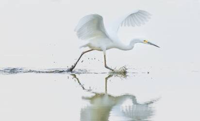 Untitled (Xiaobing Tian) - Muzeo.com