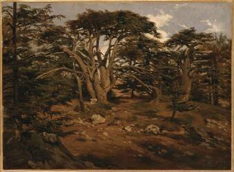 Les Vieux cèdres sur le Mont Liban (Antoine Alphonse Montfort) - Muzeo.com