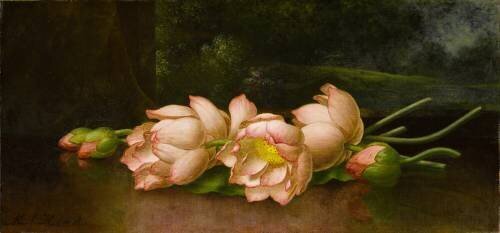 Lotus Flowers: A Landscape (Martin Johnson Heade) - Muzeo.com