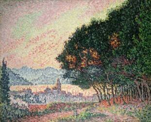 Forêt près de Saint-Tropez (Paul Signac) - Muzeo.com