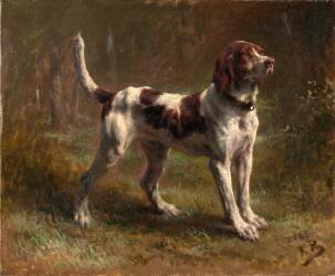 A Limier Briquet Hound (Rosa Bonheur) - Muzeo.com