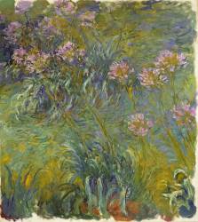 Agapanthus (Claude Monet) - Muzeo.com