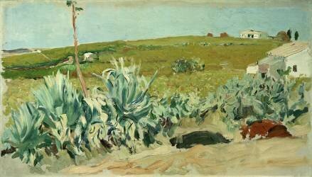 Agaves à Séville (Joaquin Sorolla y Bastida) - Muzeo.com