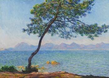 Antibes (Claude Monet) - Muzeo.com