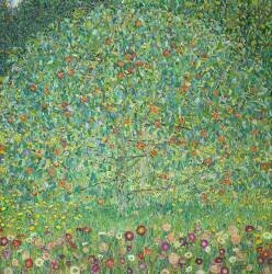 Apple Tree I (Gustav Klimt) - Muzeo.com