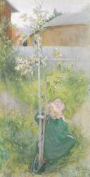 Appleblossom (Carl Larsson) - Muzeo.com