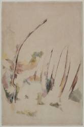 Arbres (Paul Cézanne) - Muzeo.com