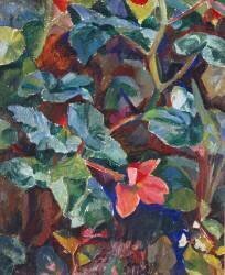 Begonias (Robert Delaunay) - Muzeo.com