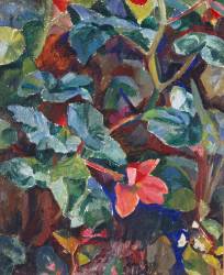 Begonias (Robert Delaunay) - Muzeo.com