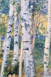 Birch Trees (Carl Larsson) - Muzeo.com