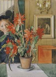 Brita's Cactus (Carl Larsson) - Muzeo.com