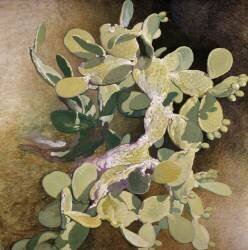 Cactus (Nestor de la Torre) - Muzeo.com