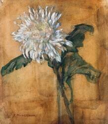 Chrysanthemum (Piet Mondrian) - Muzeo.com