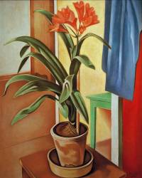 Clivia (Alexander Kanoldt) - Muzeo.com