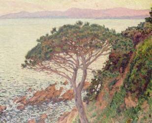 Coucher de soleil (Theo van Rysselberghe) - Muzeo.com